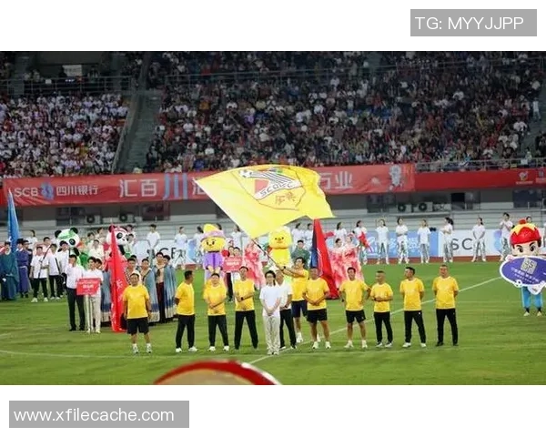 成都足球队杯赛表现分析：个人能力与团队协作的完美结合