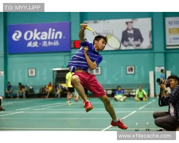 杭州羽毛球队战术表现深度数据分析与策略优化研究