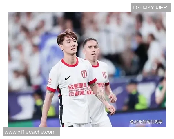 足球明星遭球迷挑衅反击引发热议赛场内外情绪高涨