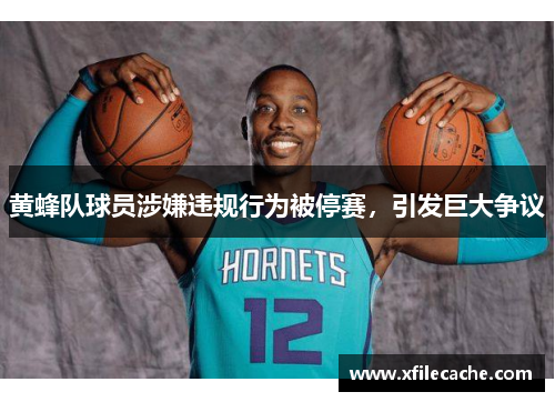 黄蜂队球员涉嫌违规行为被停赛，引发巨大争议