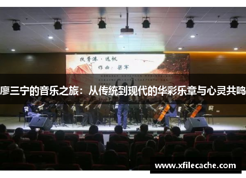 廖三宁的音乐之旅：从传统到现代的华彩乐章与心灵共鸣